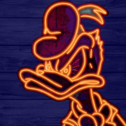 Donald Duck Holger Mühlbauer-Gardemin