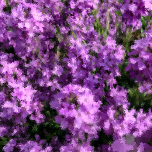 Viola de Holger Mühlbauer-Gardemin, Digital a la venta en Singulart