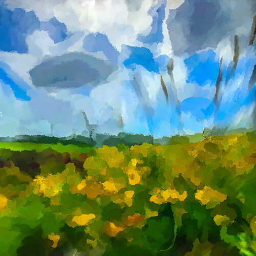 Deichvorland di Holger Mühlbauer-Gardemin, Digitale in vendita su Singulart