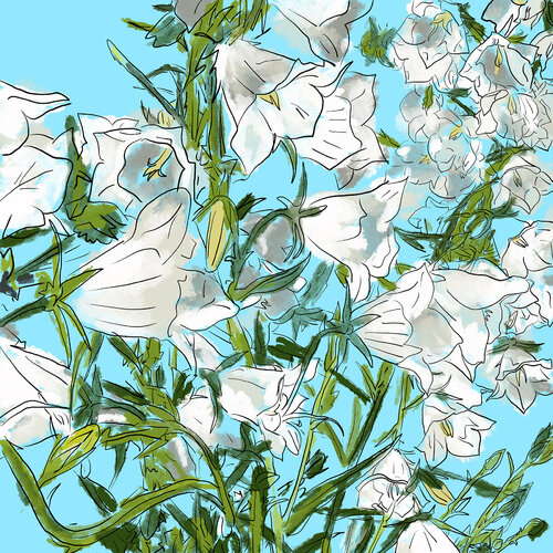 Sommerglocken Holger Mühlbauer-Gardemin