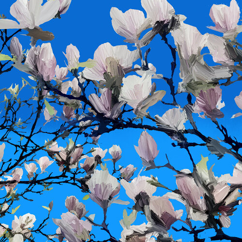 Magnolien in weiß und blau de Holger Mühlbauer-Gardemin, Pintura a la venta en Singulart