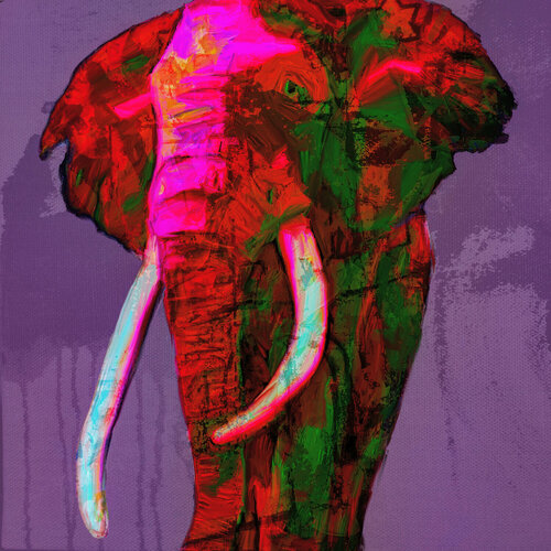Elefant di Holger Mühlbauer-Gardemin, Pittura in vendita su Singulart