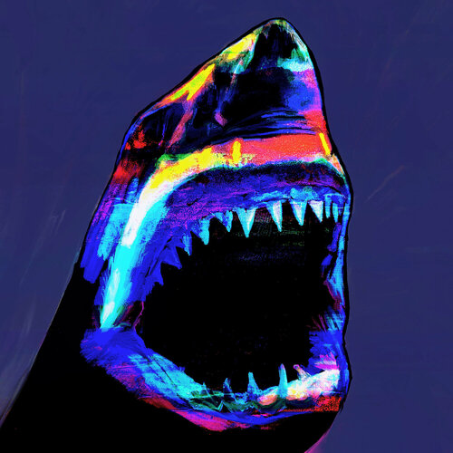 Hai di Holger Mühlbauer-Gardemin, Pittura in vendita su Singulart