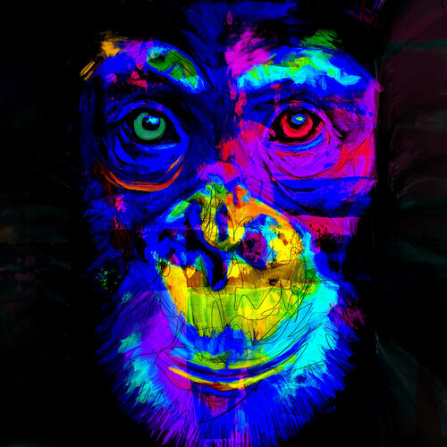 Schimpanse Holger Mühlbauer-Gardemin