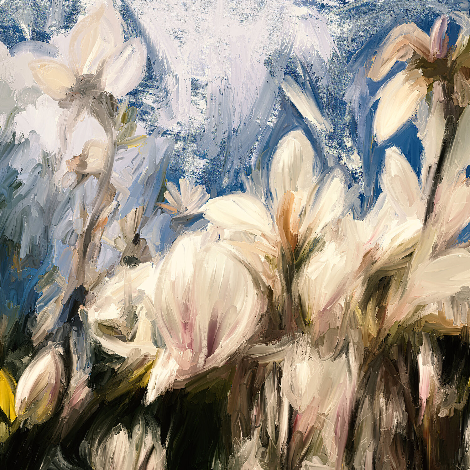 Weiße Magnolien Holger Mühlbauer-Gardemin