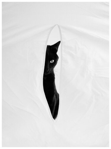 Black and White  (edition of 30) de Magda Lates, Fotografía a la venta en Singulart