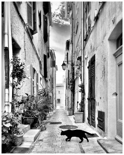 Black Cat, Saint-Tropez von Magda Lates, Fotografie kaufen auf Singulart