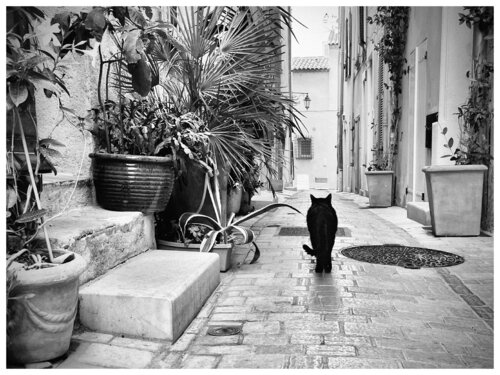 Magda Lates