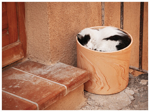 Corsican Siesta de Magda Lates, Fotografía a la venta en Singulart