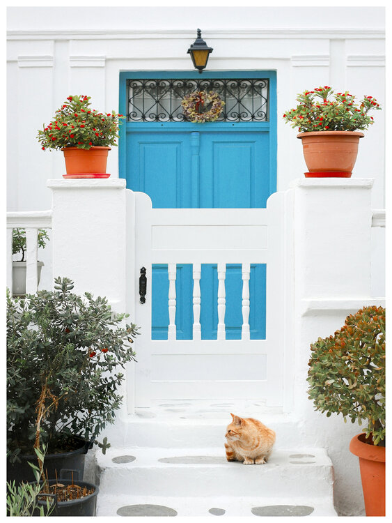 Aegean Cat, Mykonos Magda Lates