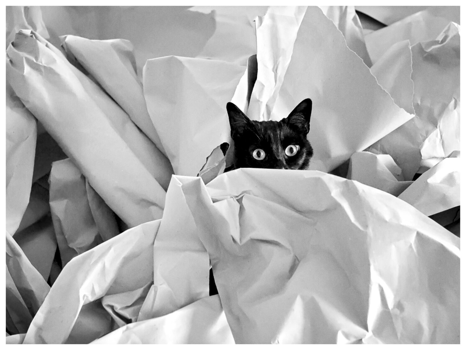 Paper Love Magda Lates