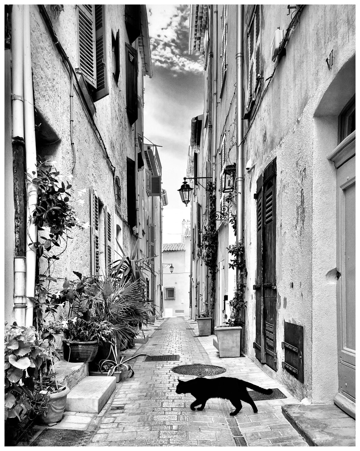 Black Cat, Saint-Tropez Magda Lates