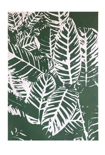 Calatea cebra Caqui van Carol Welsch, Afdruk te koop op Singulart