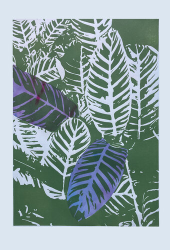 Calatea cebra In Blue par Carol Welsch, Édition en vente sur Singulart