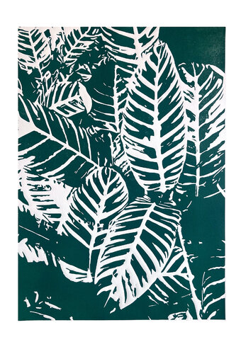Calatea cebra Menta van Carol Welsch, Afdruk te koop op Singulart