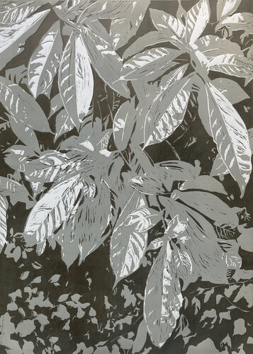 Psychotria Gris van Carol Welsch, Afdruk te koop op Singulart