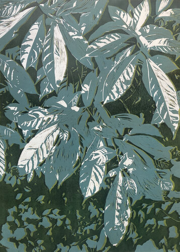 Psychotria Verde van Carol Welsch, Afdruk te koop op Singulart