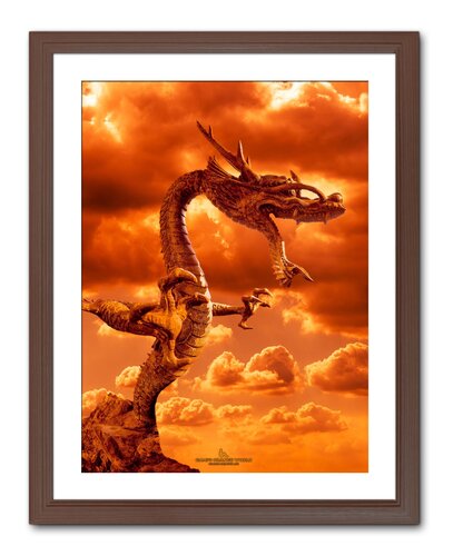 ORANGE DRAGON by Takao Sakagami, 사진 for Sale on Singulart