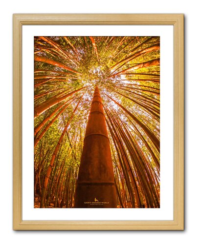 GROWING ORANGE by Takao Sakagami, 사진 for Sale on Singulart