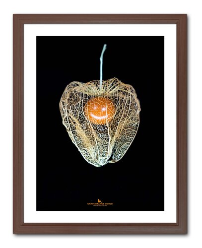 ORANGE SMILE IN HOZUKI von Takao Sakagami, Fotografie kaufen auf Singulart