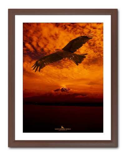 ORANGE's FIRST DREAM von Takao Sakagami, Fotografie kaufen auf Singulart