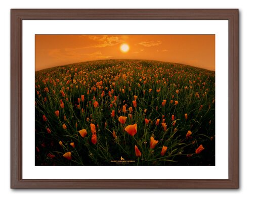 HOPE AND GRATITUDE OF ORANGE Takao Sakagami