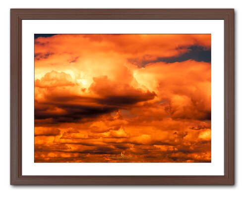 BIRTH ORANGE by Takao Sakagami, 사진 for Sale on Singulart