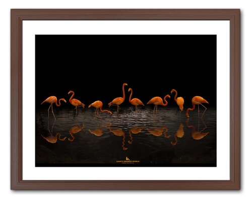 EACH OF FLAMINGOS by Takao Sakagami, 사진 for Sale on Singulart