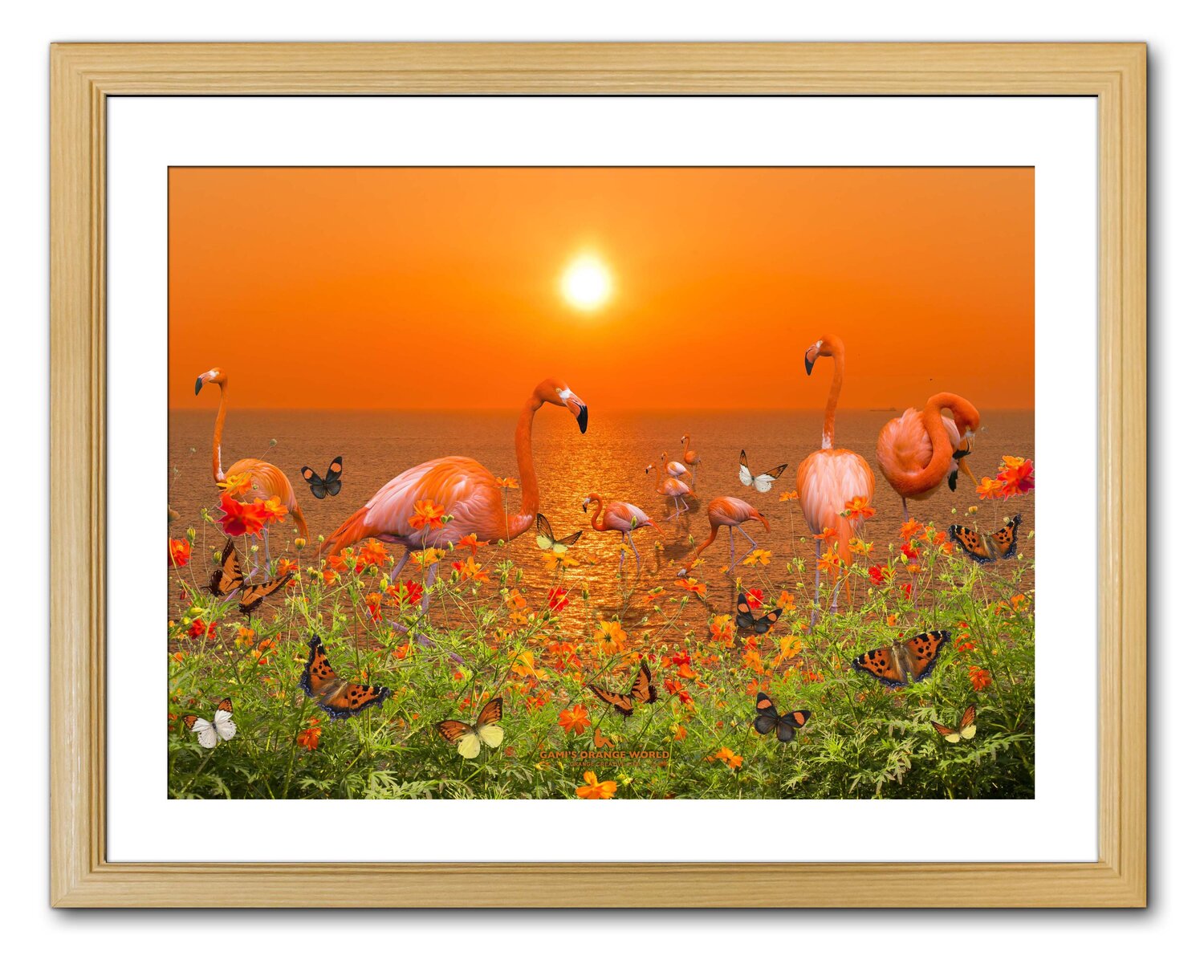 ORANGE PARADISE Takao Sakagami