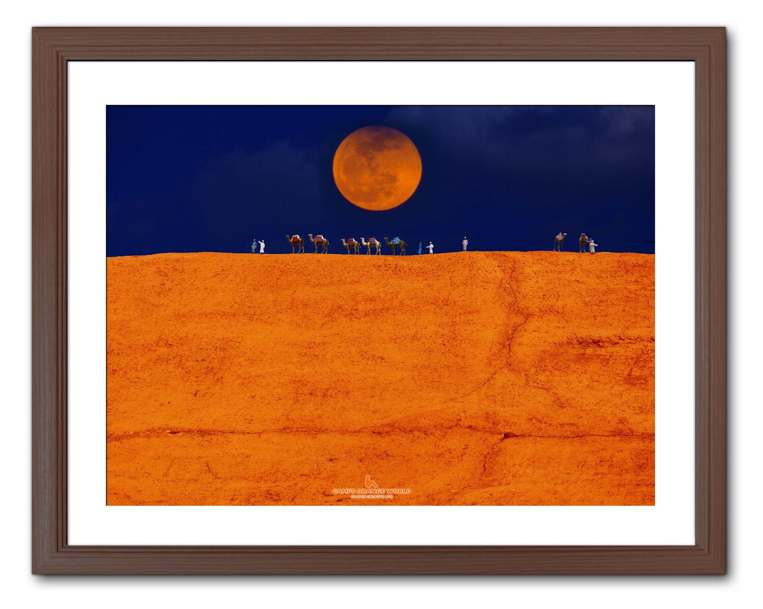 ORANGE JOURNEY Takao Sakagami