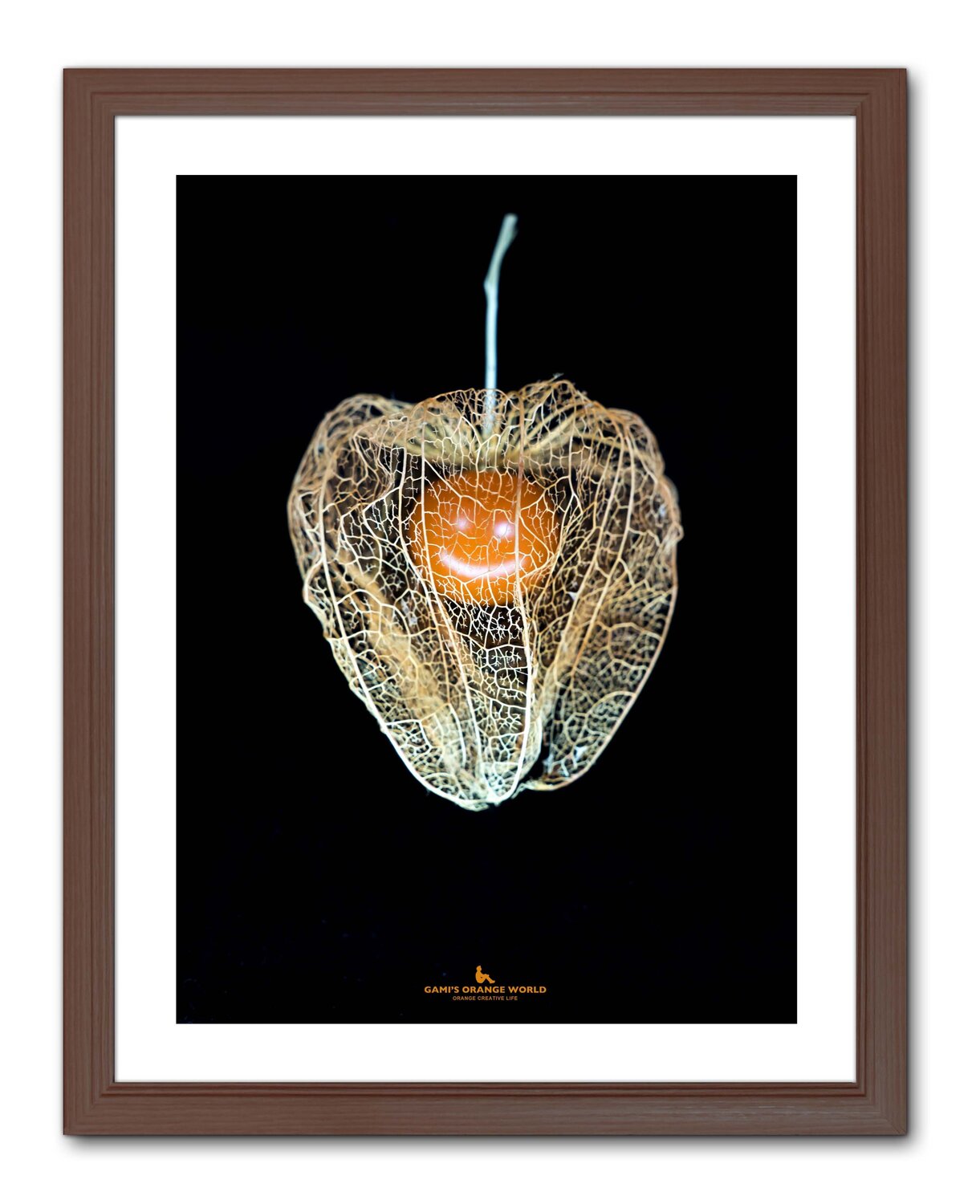 ORANGE SMILE IN HOZUKI Takao Sakagami Photographie à vendre
