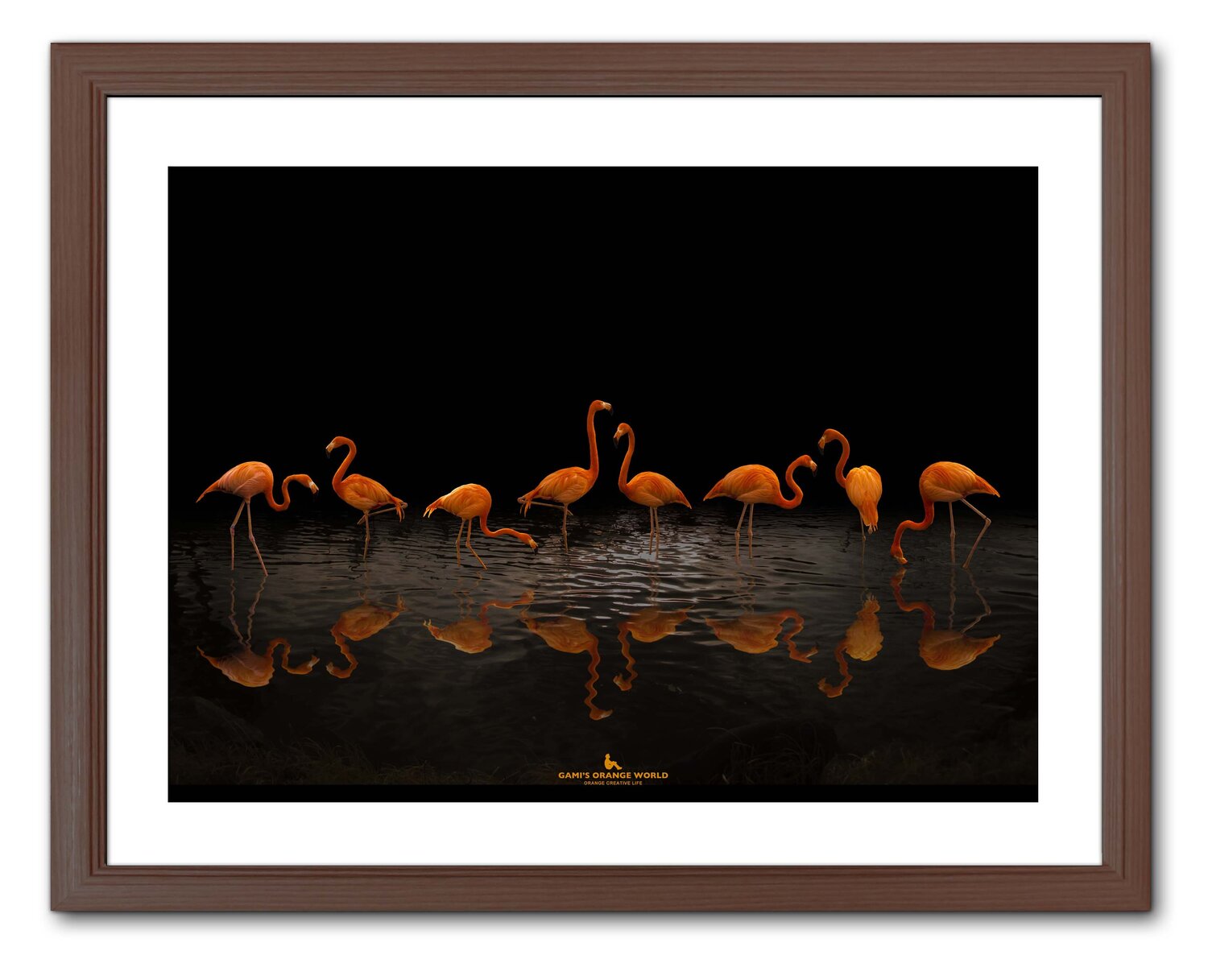 EACH OF FLAMINGOS Takao Sakagami Fotografie zu verkaufen