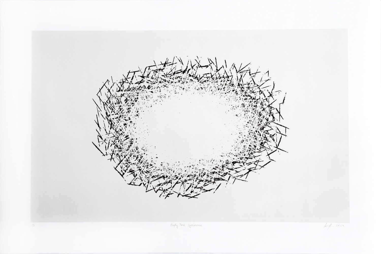 Empty Nest Syndrome Jana Lulovska