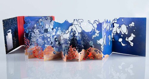 Wonders Down Unda par Delaney MeSun Shin, Œuvre sur papier en vente sur Singulart
