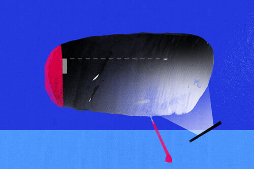 Distracted Whale van Adriano Ribeiro, Schilderij te koop op Singulart