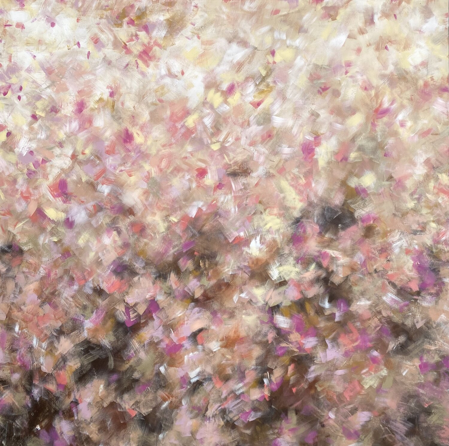 Sand Dune Song Katherine Spiller