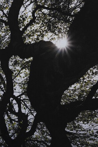 Here di Ana Karina Haller, Fotografia in vendita su Singulart