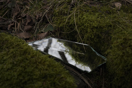 Facets of nature N°1 Ana Karina Haller