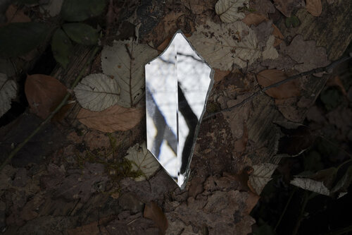 Facets of nature N°2 Ana Karina Haller