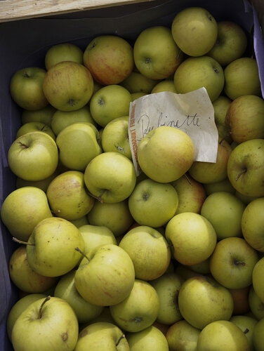 Apple N°5 di Ana Karina Haller, Fotografia in vendita su Singulart