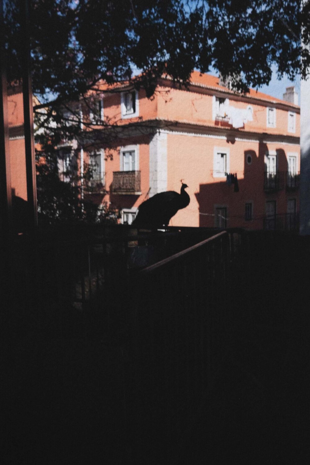 Vanity Ana Karina Haller