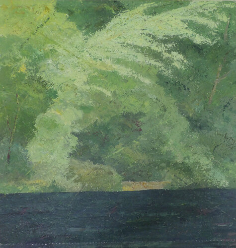Bord de rivière 2 J-Claude Bernard