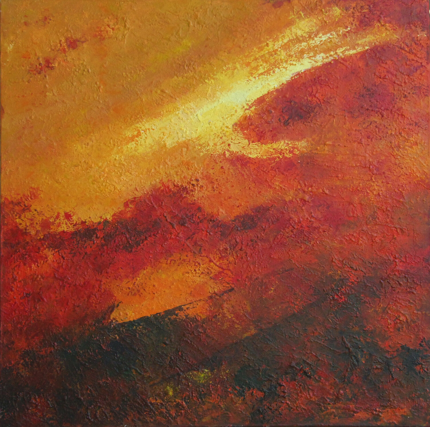 Le feu de la terre J-Claude Bernard
