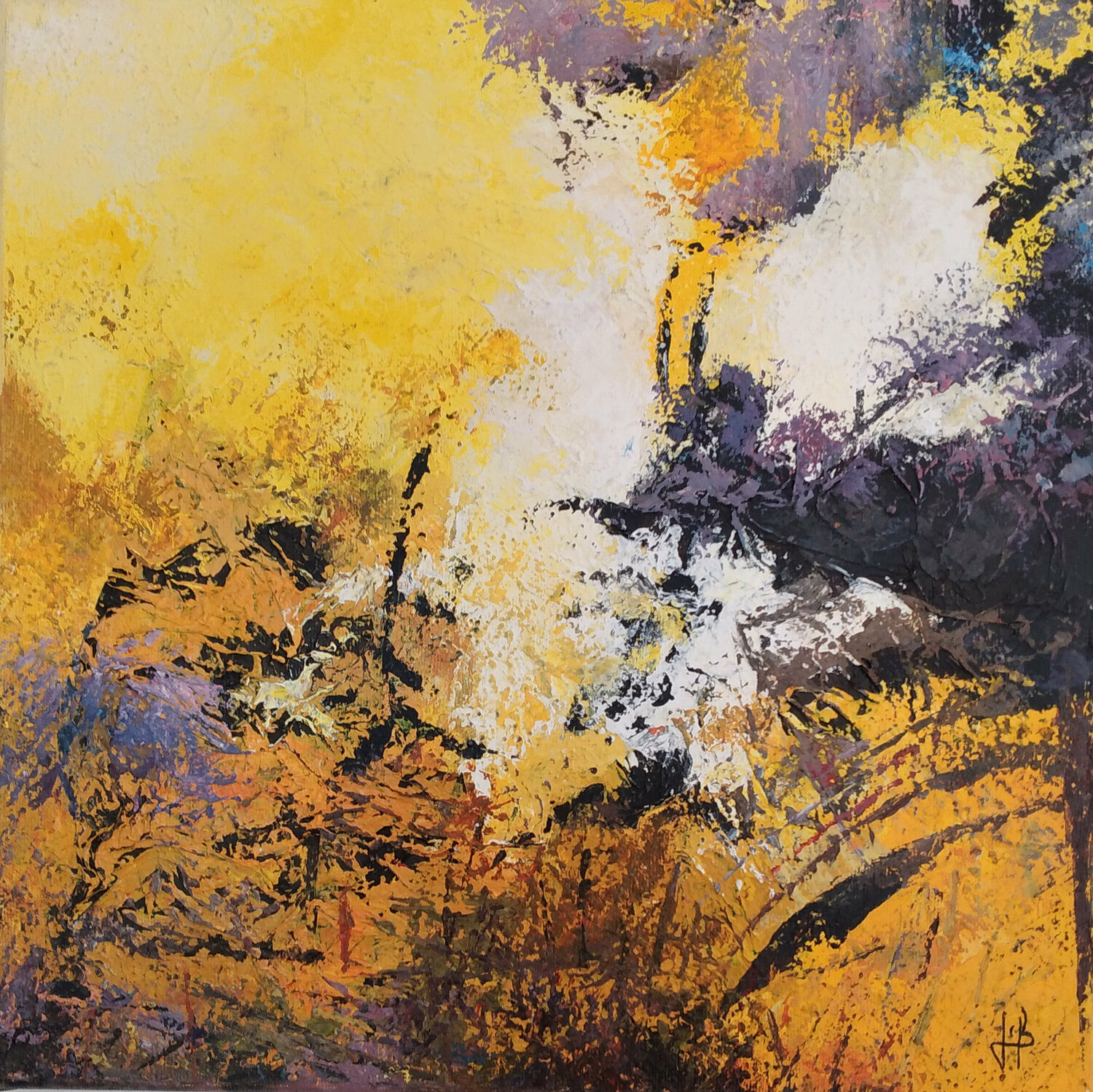 Ballade dans les hauteurs J-Claude Bernard