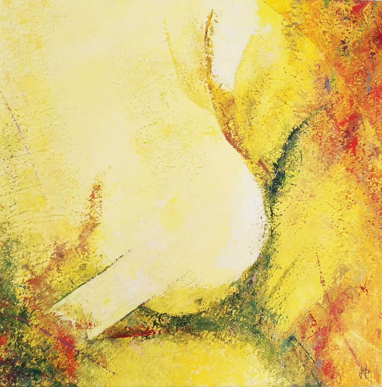 Trouée de lumière J-Claude Bernard