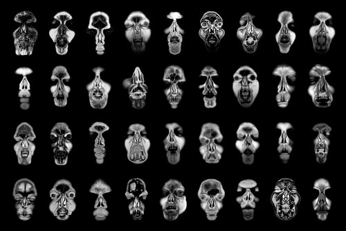 MRI di Stefan Zausinger, Fotografia in vendita su Singulart