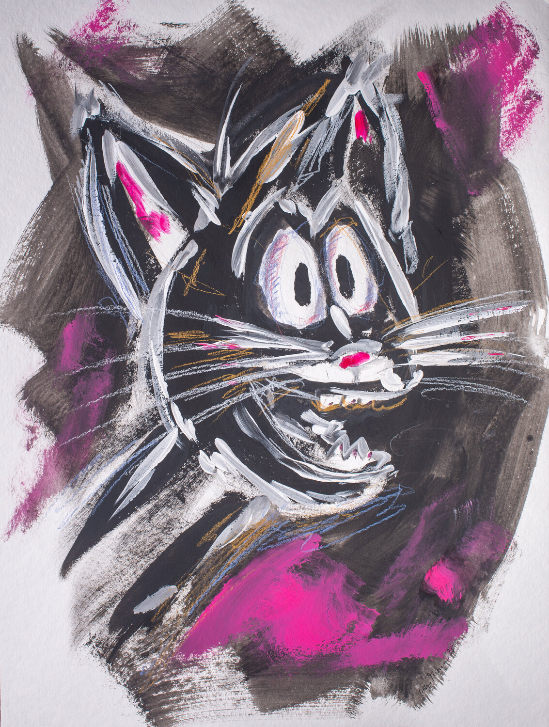 What The Cat is going on. Kai Thomas