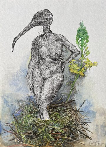 Aphrodite Ibis van Cameron de Bruyn, Werk op papier te koop op Singulart
