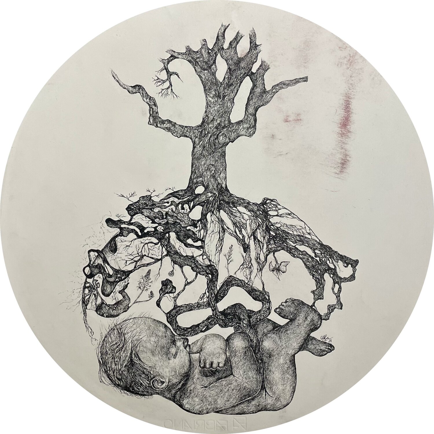 Grounded at birth Cameron de Bruyn