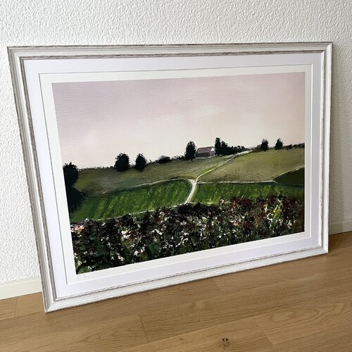 Grape Vine by Stefan Bammert, Print for Sale on Singulart